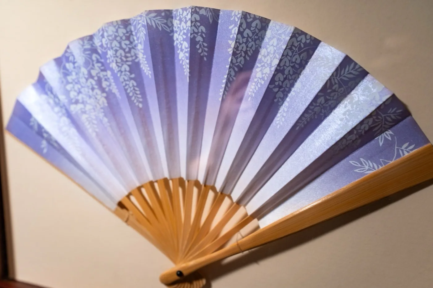 Sensu / Fan